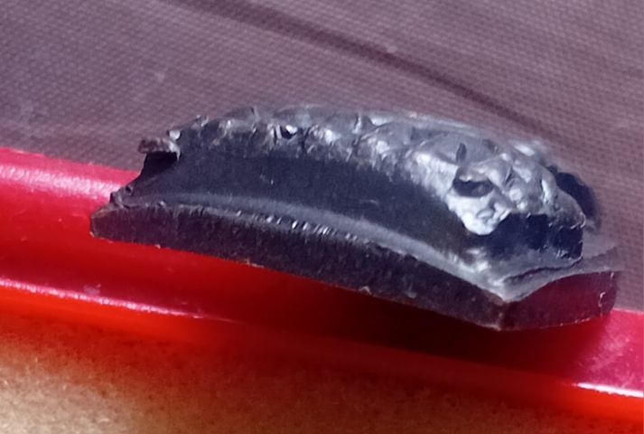 หลวงปู่ทวดปี24 รูปที่ 5