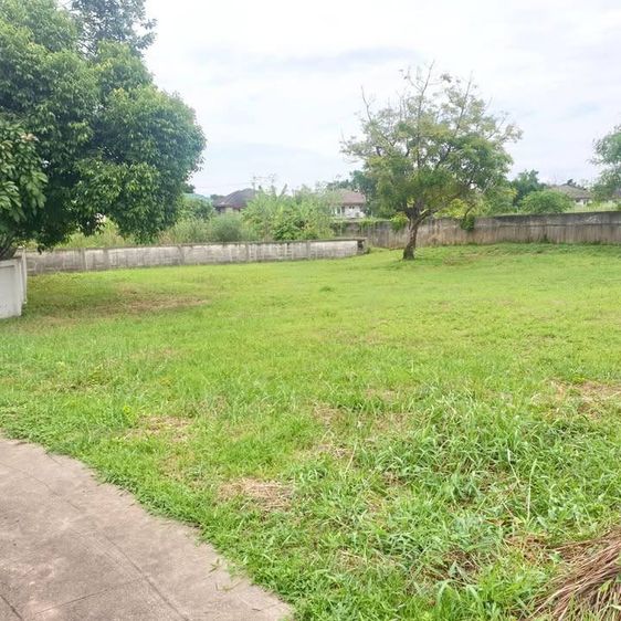 ที่ดินแปลงมุม ต่ำกว่าประเมินของกรมที่ดิน ทำเลปลูกบ้านในโครงการเดอะลากูล3 สามโคก ปทุมธานี