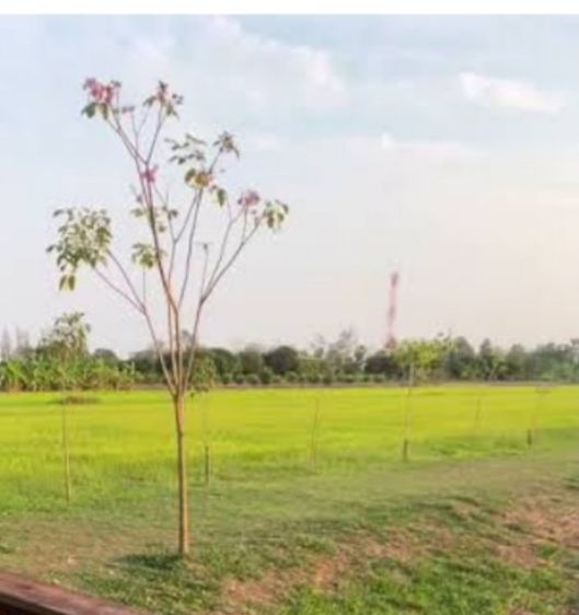 ที่ดินนครนายกบ้านนา