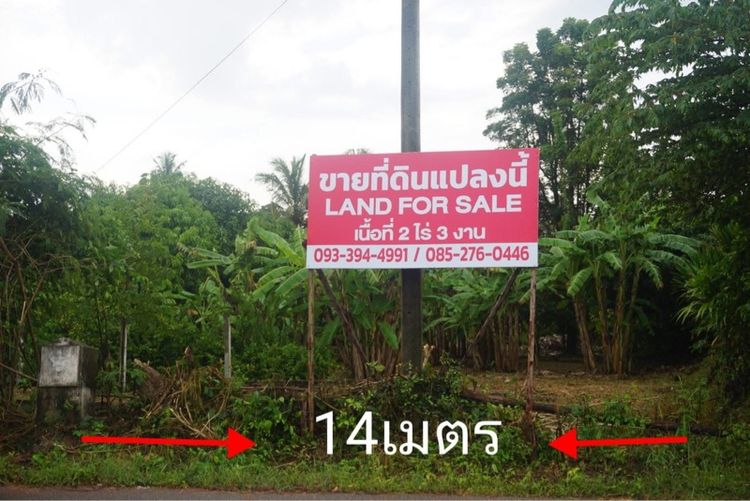 ขายที่ดิน