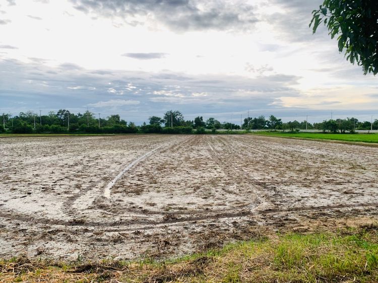 ใช่ ที่ดิน