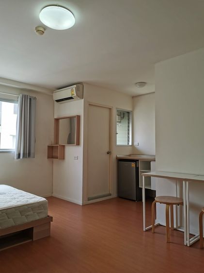 มีบางส่วน LPN Development 2012 เลี้ยงสัตว์ได้ ไม่ใช่ ขายคอนโดลุมพินี ชลบุรี รูปที่ 3