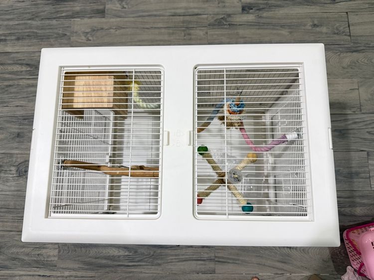 ขายกรงนก Shobi รูปที่ 2