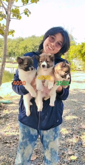 3500