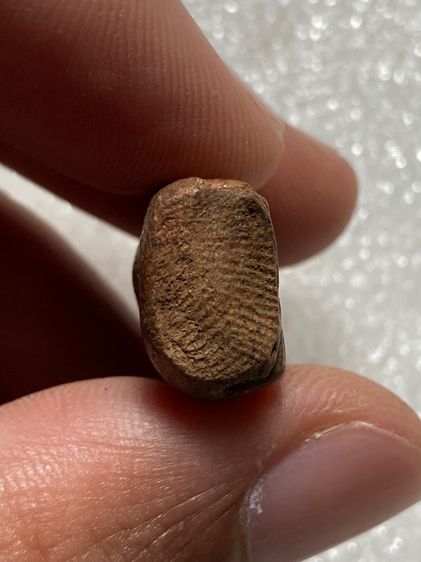 พระรอดสวยเก่าๆ รูปที่ 5