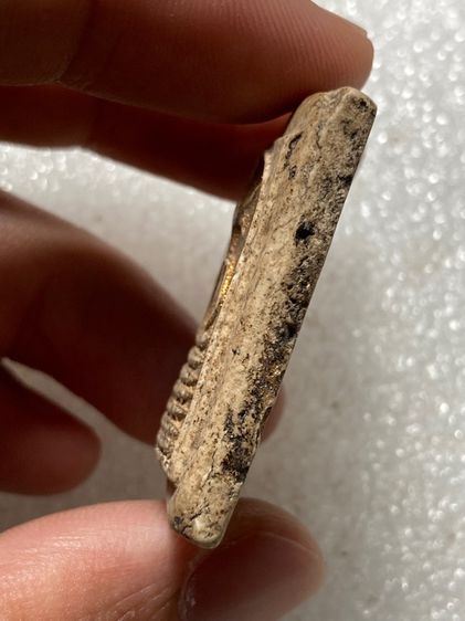 พระเกศไชโยสวย ดีมาก รูปที่ 3