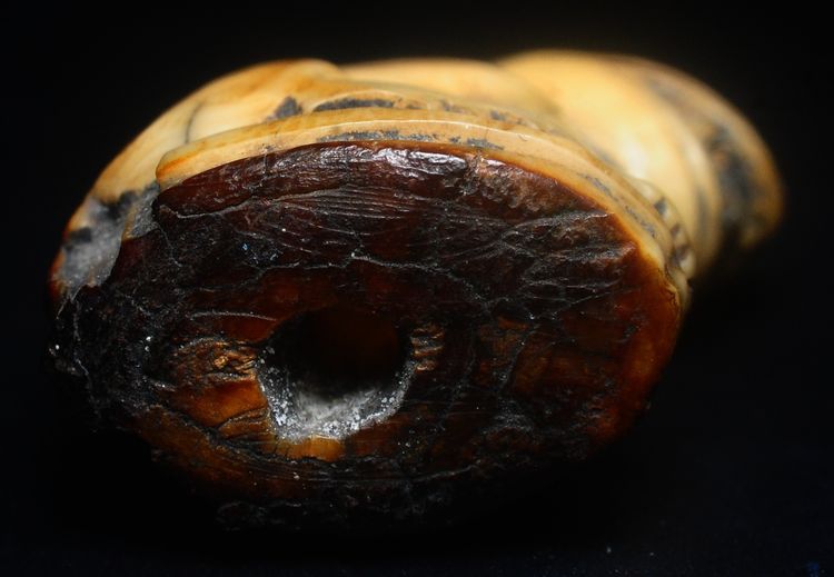 ส หลวงพ่อปาน วัดบางเหี้ย ตัวใหญ่ อวบๆ สภาพเก่าๆ เลยครับ รูปที่ 5