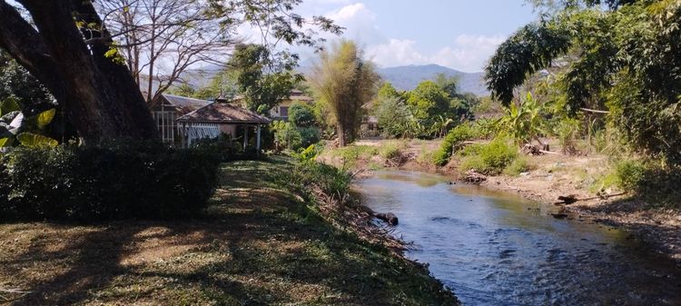 ให้เช่าอาคารพร้อมใช้ทำร้านอาหาร หรือที่พัก หรือสถานออกกำลังกาย หรือที่ดูแลผู้สูงอายุ ฯลฯ รูปที่ 4