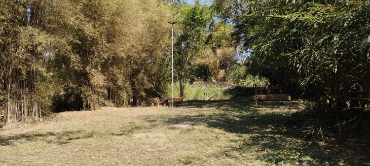 ให้เช่าอาคารพร้อมใช้ทำร้านอาหาร หรือที่พัก หรือสถานออกกำลังกาย หรือที่ดูแลผู้สูงอายุ ฯลฯ รูปที่ 3