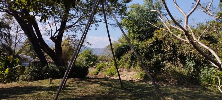 ให้เช่าอาคารพร้อมใช้ทำร้านอาหาร หรือที่พัก หรือสถานออกกำลังกาย หรือที่ดูแลผู้สูงอายุ ฯลฯ