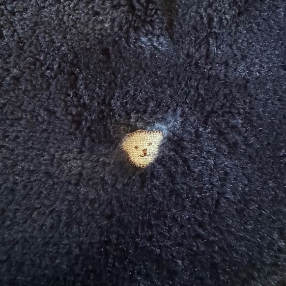 กระเป๋า teddy house รูปที่ 3