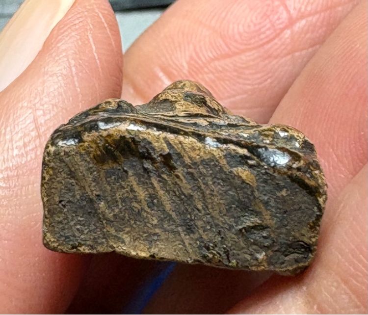 พระผงสุพรรณพิมพ์หน้ากลาง รูปที่ 7