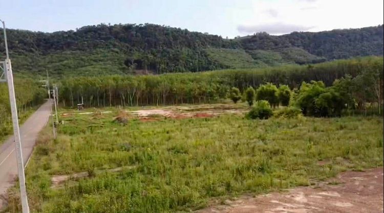 ที่ดินระยองเนื้อที่ 3 ไร่ วังจันทน์ วิวภูเขา