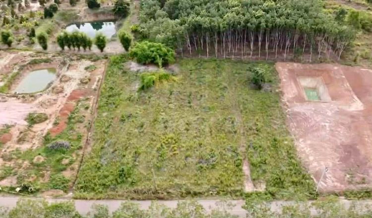 ที่ดินระยองเนื้อที่ 3 ไร่ วังจันทน์ วิวภูเขา รูปที่ 4