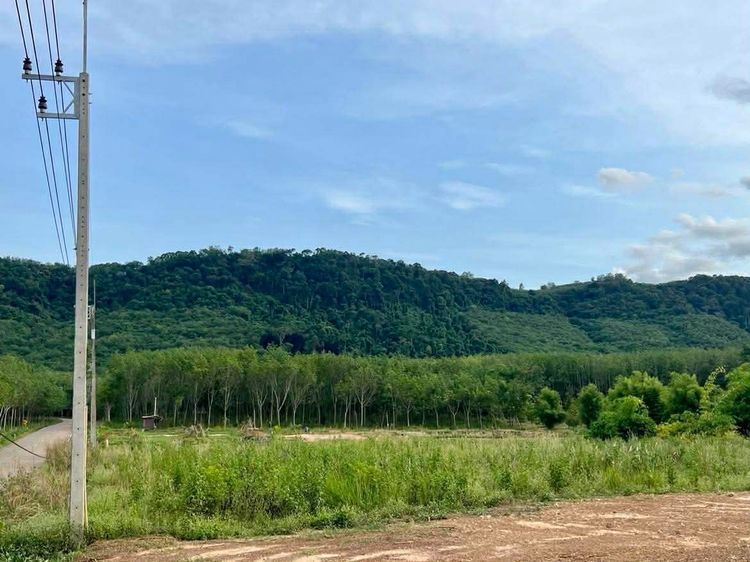 ที่ดินระยองเนื้อที่ 3 ไร่ วังจันทน์ วิวภูเขา รูปที่ 3