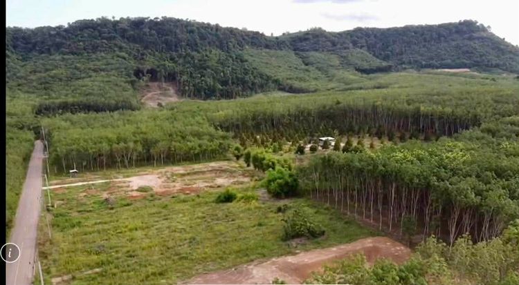 ที่ดินระยองเนื้อที่ 3 ไร่ วังจันทน์ วิวภูเขา รูปที่ 2