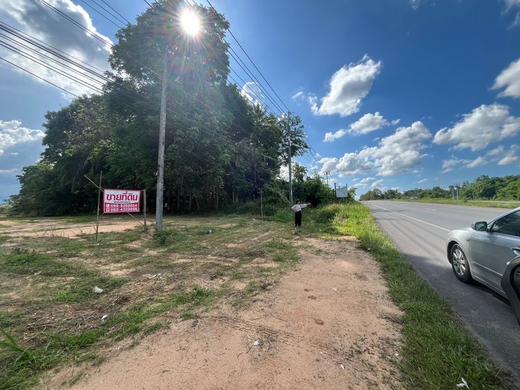 ที่ดินพัทลุงติดถนนเพชรเกษม รูปที่ 4