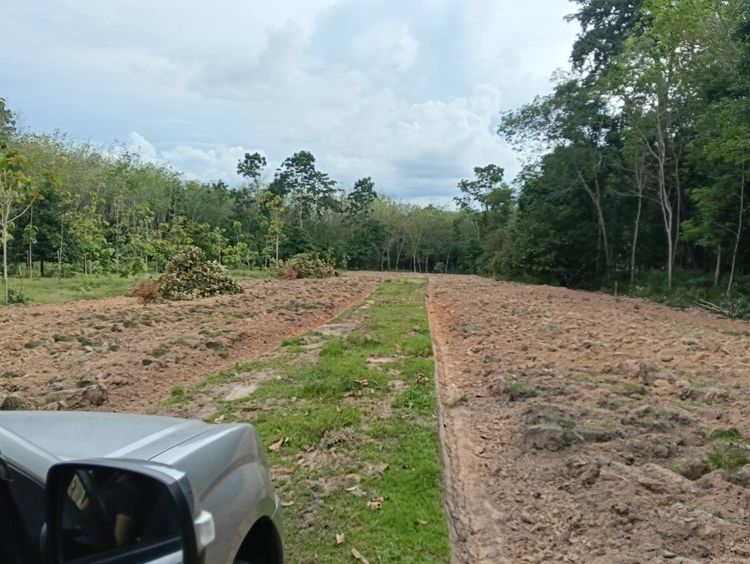 ที่ดินพัทลุงติดถนนเพชรเกษม