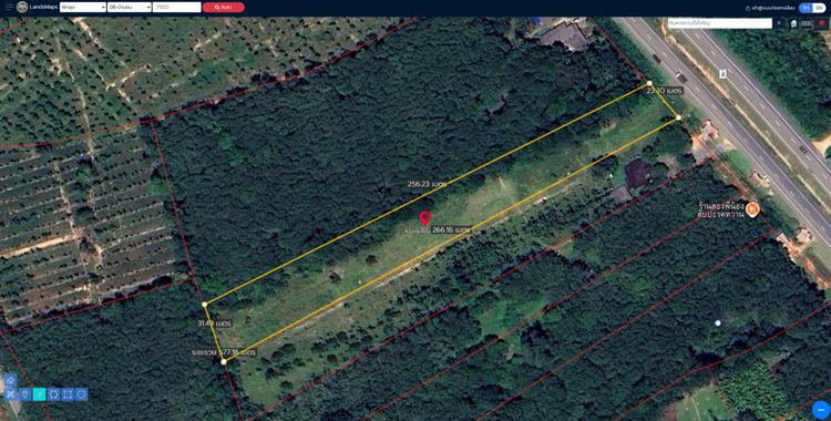 ที่ดินพัทลุงติดถนนเพชรเกษม รูปที่ 2