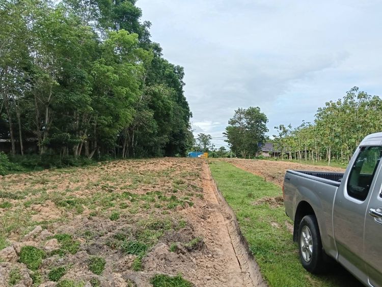 ที่ดินพัทลุงติดถนนเพชรเกษม รูปที่ 3
