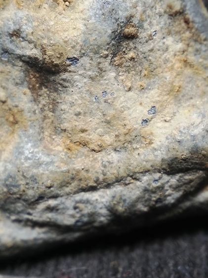 นางเนื้อชินไขคลุมเต็มครับ รูปที่ 5