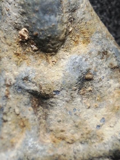 นางเนื้อชินไขคลุมเต็มครับ รูปที่ 7