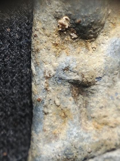 นางเนื้อชินไขคลุมเต็มครับ รูปที่ 8