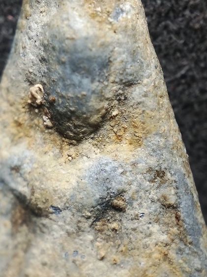 นางเนื้อชินไขคลุมเต็มครับ รูปที่ 12