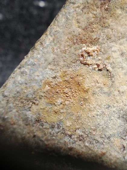 นางเนื้อชินไขคลุมเต็มครับ รูปที่ 14