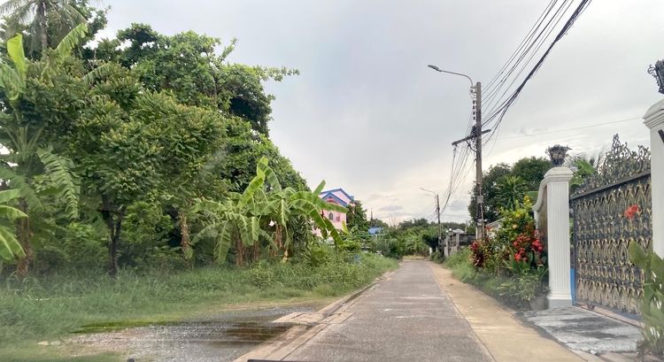 ขายวาละ 45,000 บาท ซอยเพชรเกษม 68 แยก 28 รูปที่ 4