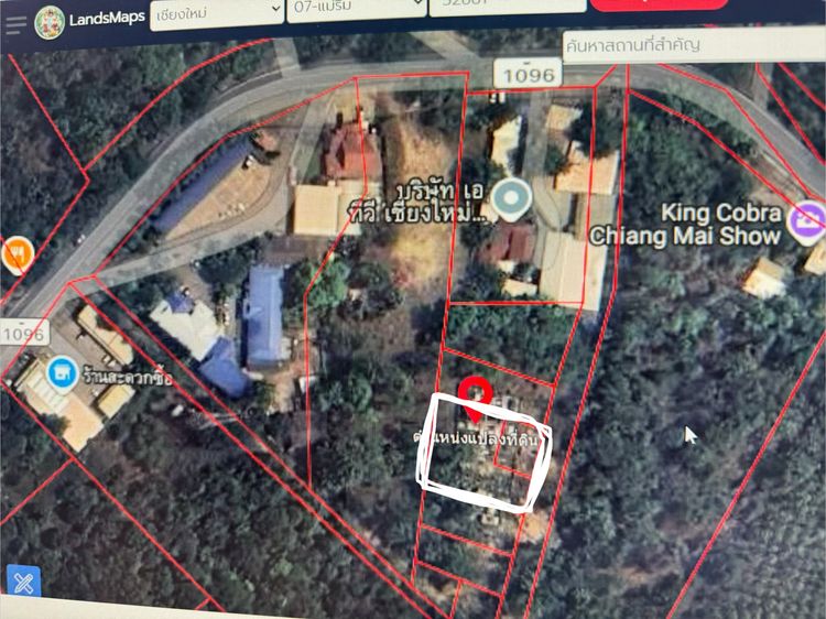 ที่ดินแม่ริม เชียงใหม่ ใกล้แหล่งท่องเที่ยว  รูปที่ 4