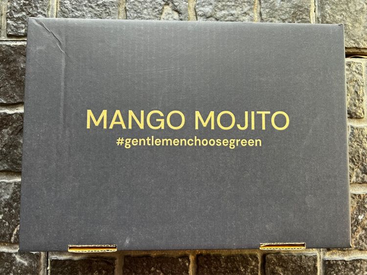 รองเท้าผ้าใบ ขาว หนังแท้ UK 6 | EU 39 1/3 | US 7.5 MANGO MOJITO รองเท้าหนัง