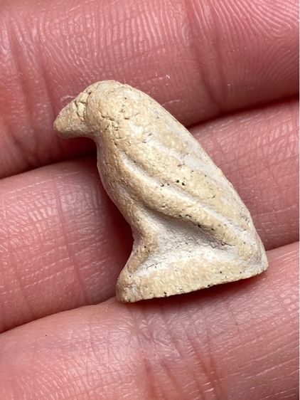 นกสาริกาเนื้อผง รูปที่ 2