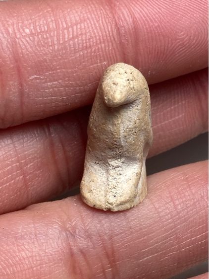 นกสาริกาเนื้อผง รูปที่ 4