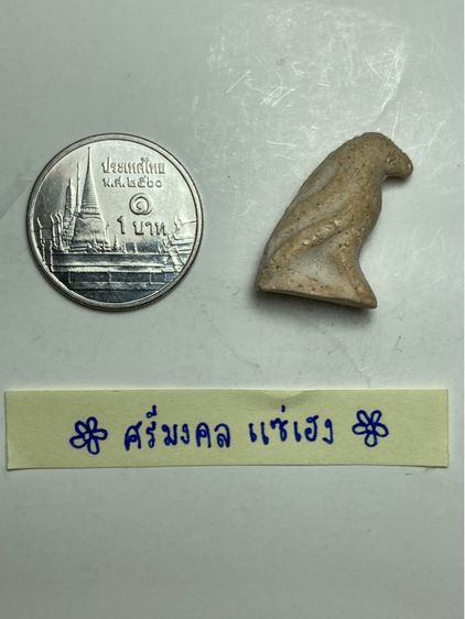 นกสาริกาเนื้อผง รูปที่ 7