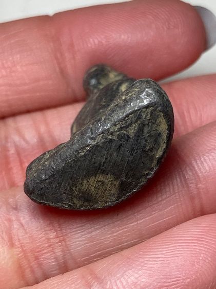 หลวงพ่อเดิม รูปที่ 5