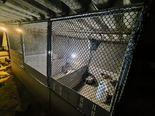 ไก่พม่าแข้งหน้า (เปิดจองลูกไก่) ลูกชายแดงเล็ก 🐲🐉🐉🐲 รูปที่ 12