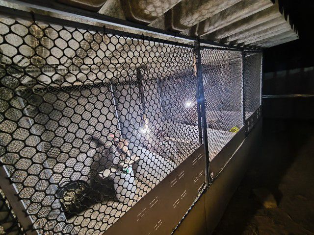 ไก่พม่าแข้งหน้า (เปิดจองลูกไก่) ลูกชายแดงเล็ก 🐲🐉🐉🐲 รูปที่ 7