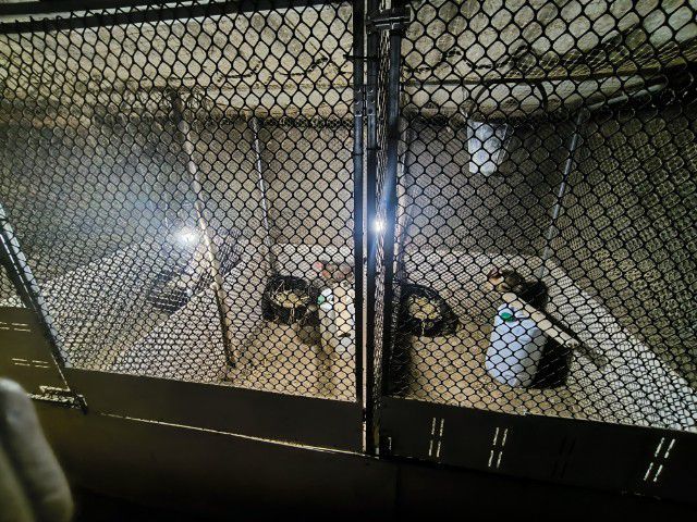 ไก่พม่าแข้งหน้า (เปิดจองลูกไก่) ลูกชายแดงเล็ก 🐲🐉🐉🐲 รูปที่ 6