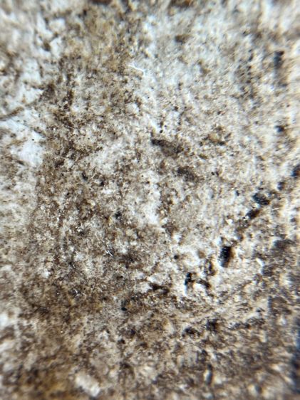 พระสมเด็จ บางขุนพรหม พิมพ์เจดีย์แหวกม่าน รูปที่ 10