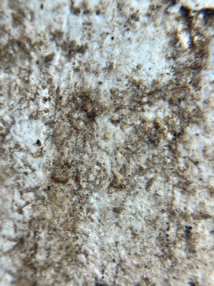 พระสมเด็จ บางขุนพรหม พิมพ์เจดีย์แหวกม่าน รูปที่ 11