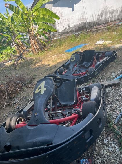 โกคาร์ท รูปที่ 3