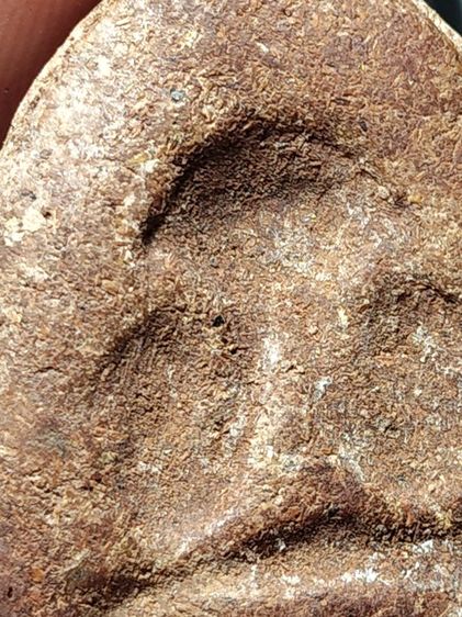 ปิดตา หลวงพ่อโด่ วัดนามะตูม พระปิดตาหลักสายชลฯ รูปที่ 8