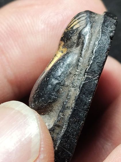 พระปิดตาหลวงพ่อโด่วัดนามะตูม รูปที่ 5