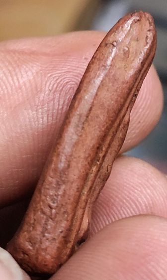 นางพญาเนื้อดินพิมพ์ซุ้มคู่หลวงพ่อกวยวัดโฆสิตารามมาตรฐาน รูปที่ 5