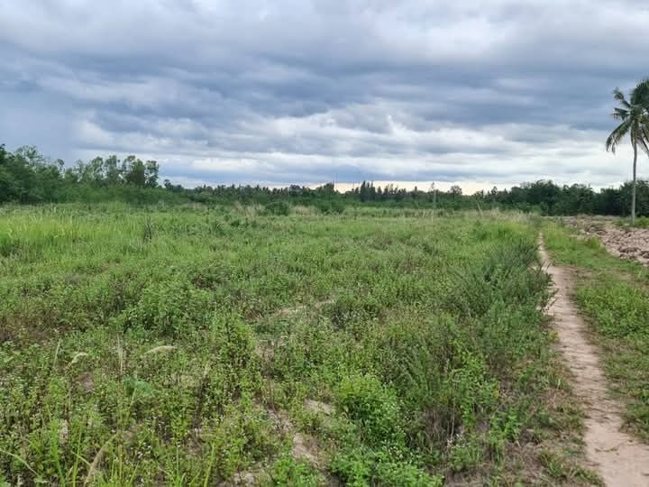 ที่ดินเพชรบุรี​ราคาสุดคุ้ม