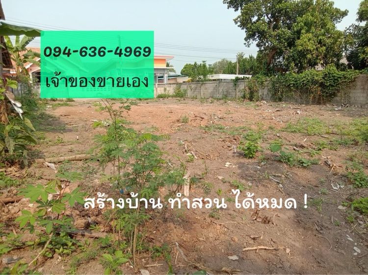 ใช่ เวียงชัย ขายด่วน รูปที่ 2