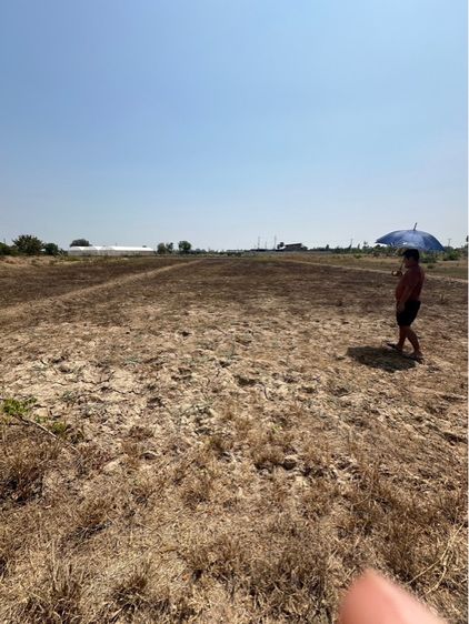 ใช่ ที่ดิน 1 ไร่ จังหวัดสุพรรณบุรี รูปที่ 3