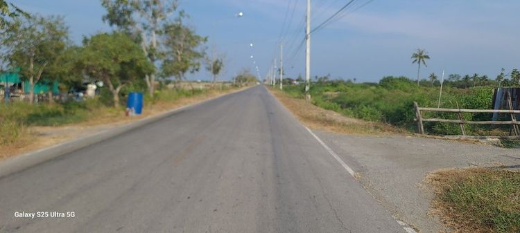 ใช่ ขายที่ดินพร้อมบ้านสวน6ไร่ครึ่งหน้ากว้าง40เมตรติดถนนลาดยางห่างทะเลเซเว่น2โลห่างตลาดนัด2โลหมู่3ต.ปากทะเล อ.บ้านแหลมจ.เพชรบุรี รูปที่ 2