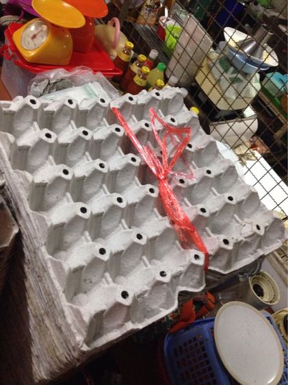 แผงไข่ รูปที่ 3